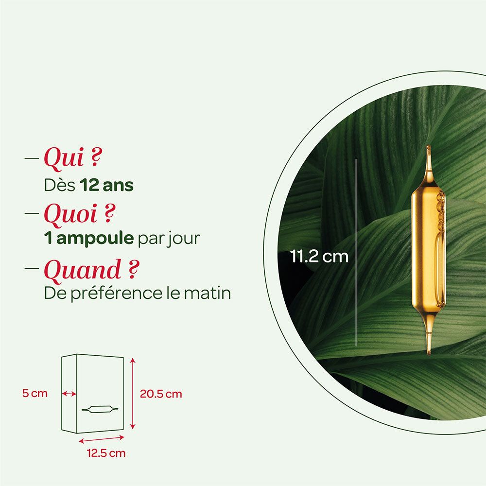SUPER DIET Pissenlit Elimination Bio Ampoule