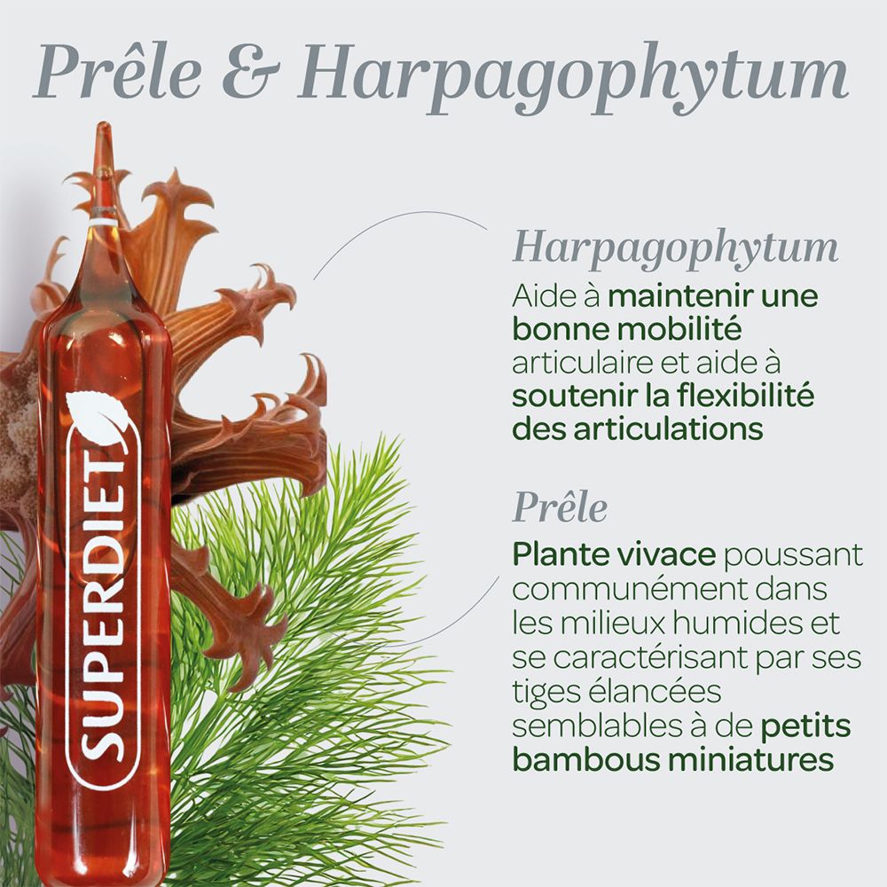 Gros plan sur une ampoule. Texte: SUPERDIET. PRÊLE & HARPAGOPHYTUM. Informations sur les ingrédients et leurs effets.