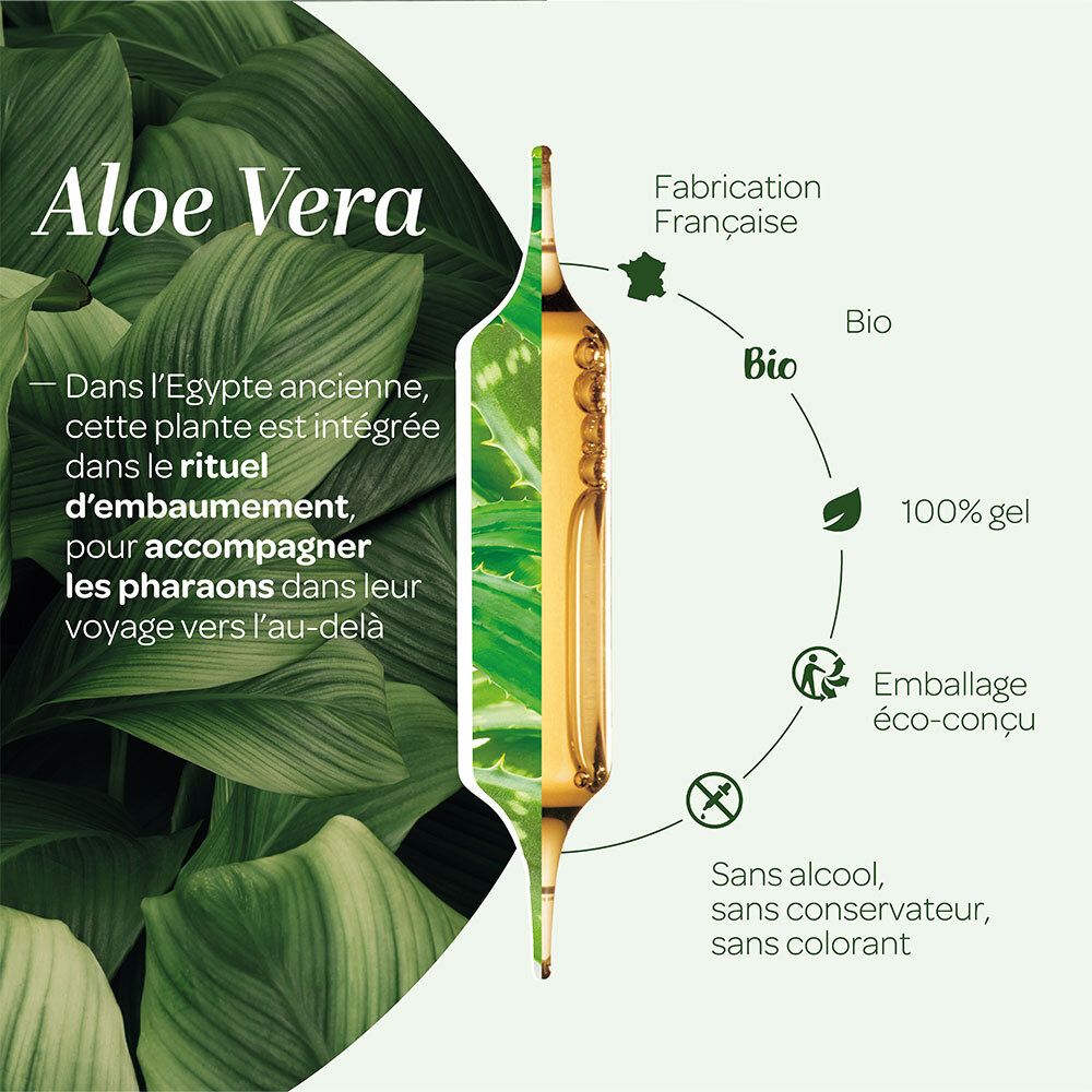 Superdiet Gel d’Aloe Vera Bio