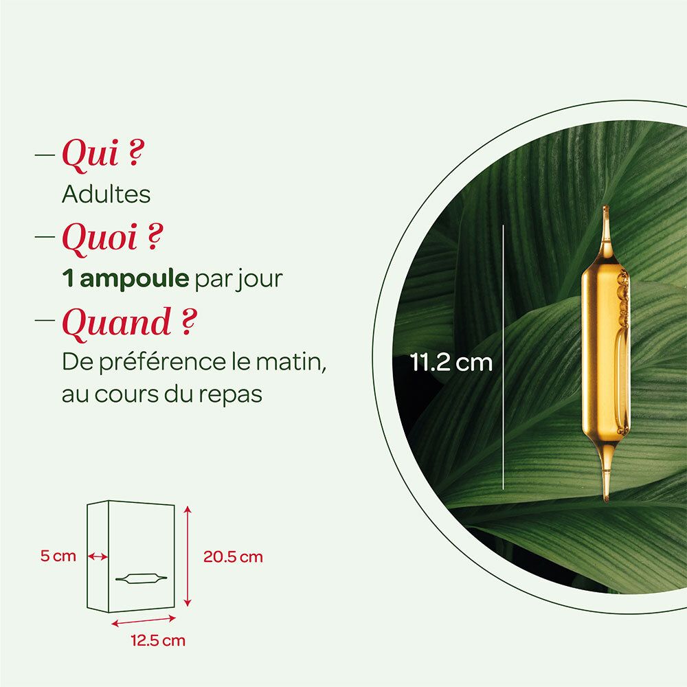SUPER DIET Quatuor Bio  Brûle - Graisse Ampoule