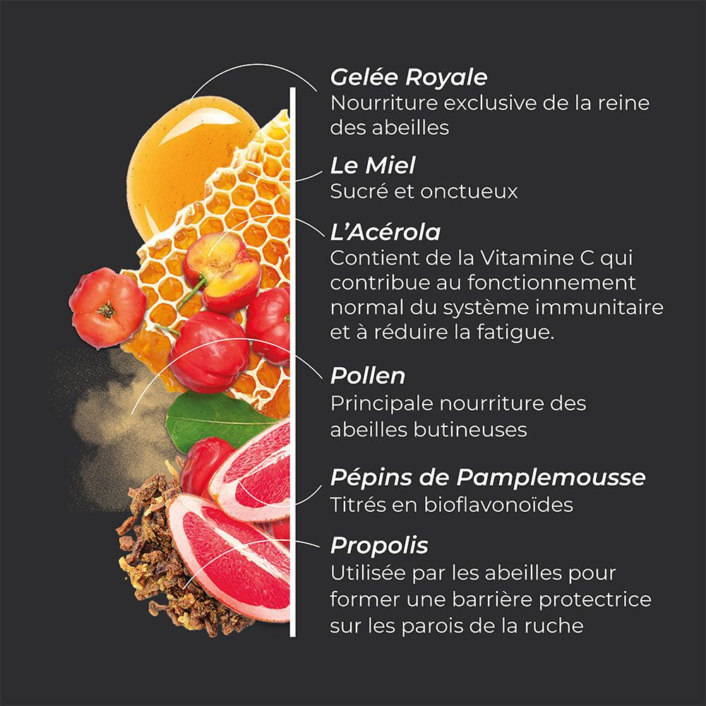 Représentation graphique des ingrédients. Rayon de miel, acérola, pollen, pépins de pamplemousse et propolis.