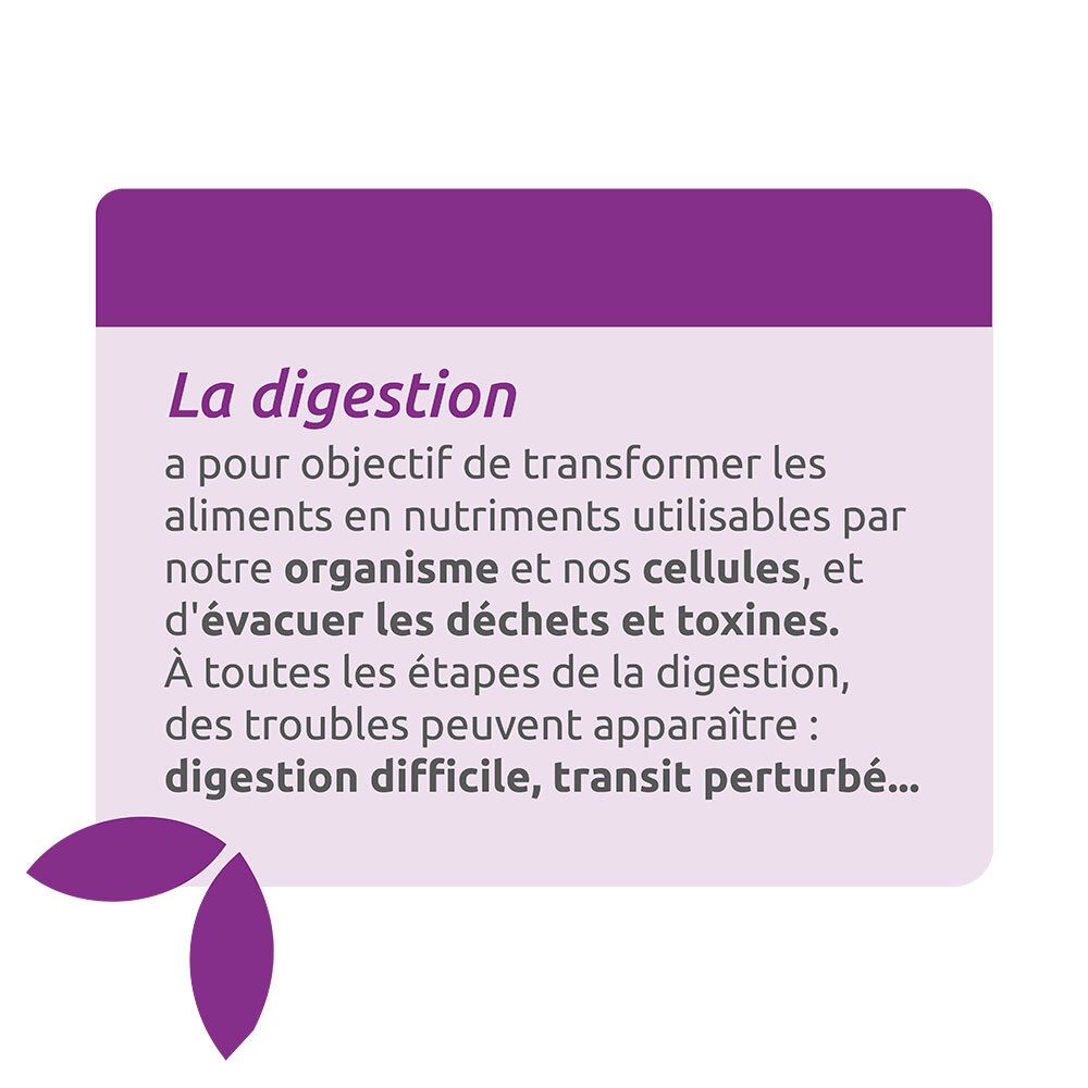 Herbesan Bio Bien-être du Foie Radis Noir Artichaut Romarin