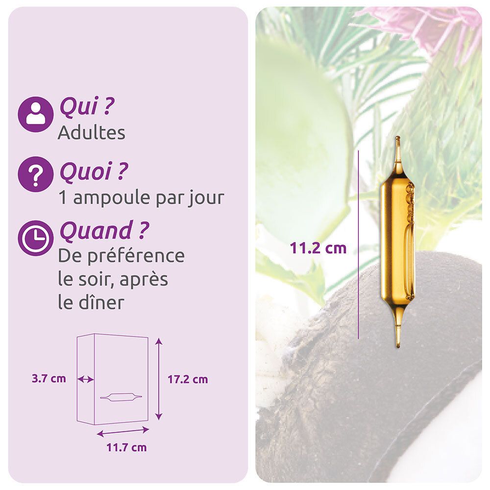 Herbesan Bio Bien-être du Foie Radis Noir Artichaut Romarin