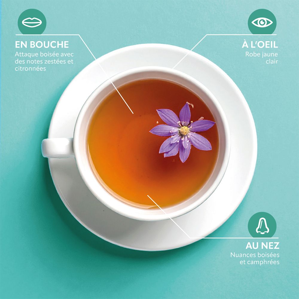 Tasse de thé. Inscriptions: En bouche, à l'oeil, au nez. Thé avec fleur. Thé clair. Notes boisées et camphrées.