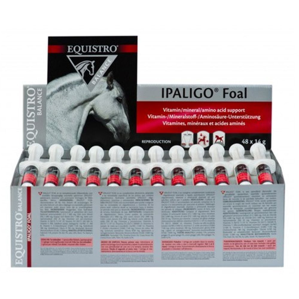 EQUISTRO IPALIGO FOAL SERINGU48