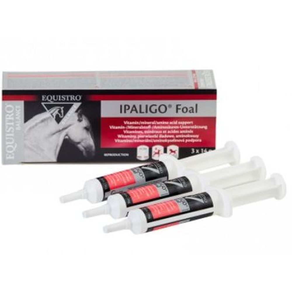 EQUISTRO IPALIGO FOAL SERINGUE3