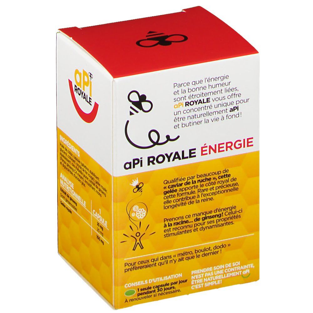 APi Royale Énergie