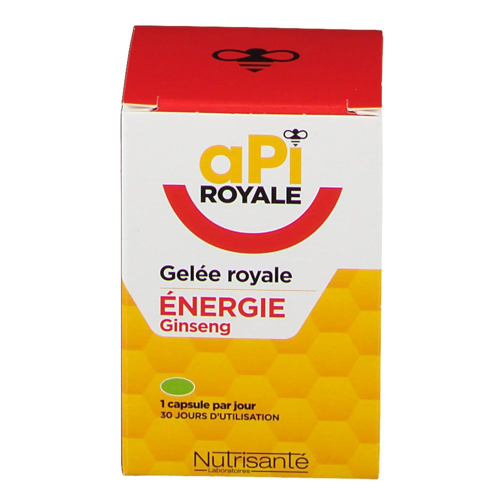 APi Royale Énergie