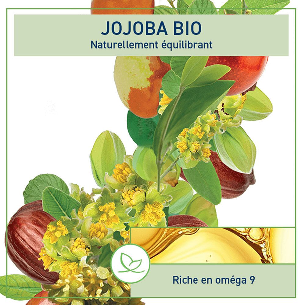 Graphique avec plante de jojoba, fruits et fleurs. Texte : Jojoba Bio, naturellement équilibrant, riche en oméga 9. Logo vert.