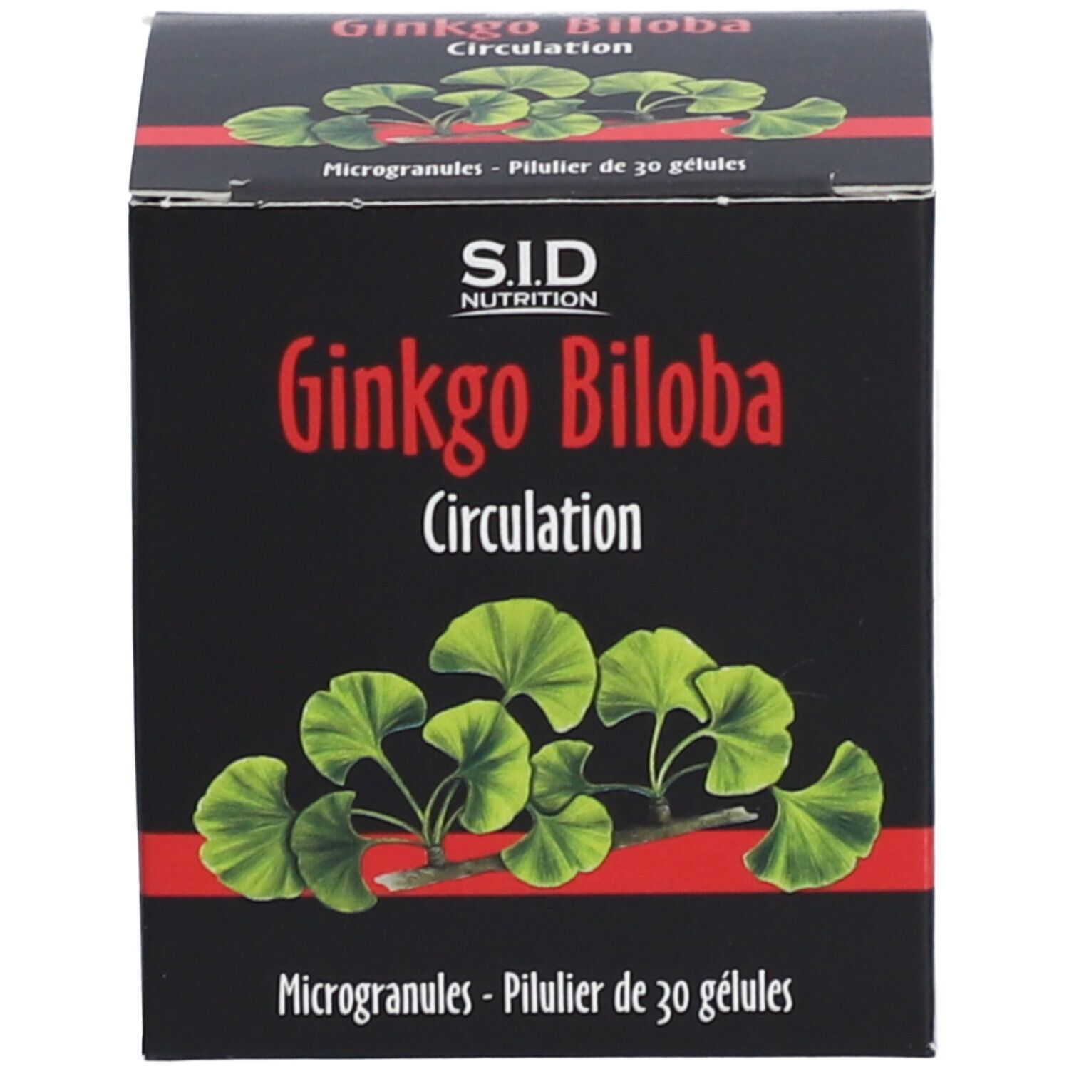 GINKGO BILOBA SIDN GELULE 30
