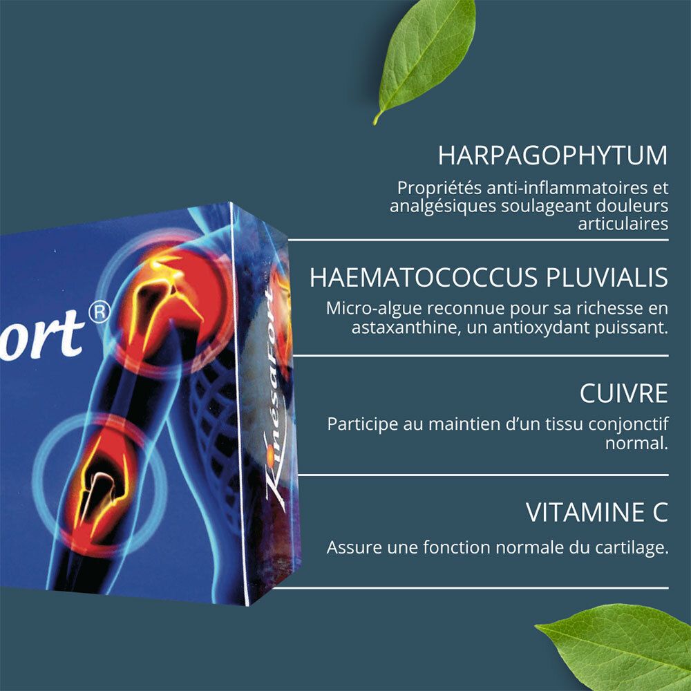KINÉSAFORT ARTICULATIONS - Gélule, complément alimentaire à visée articulaire.  - bt 60