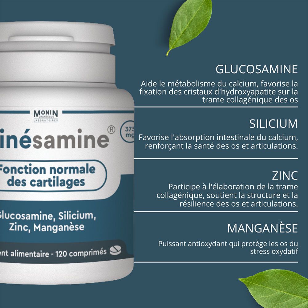 Monin Kinésamine complément pour les articulations