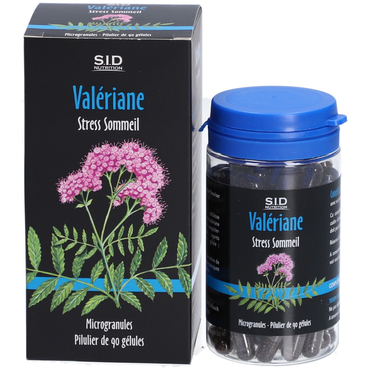 VALERIANE SIDN GELULE 90