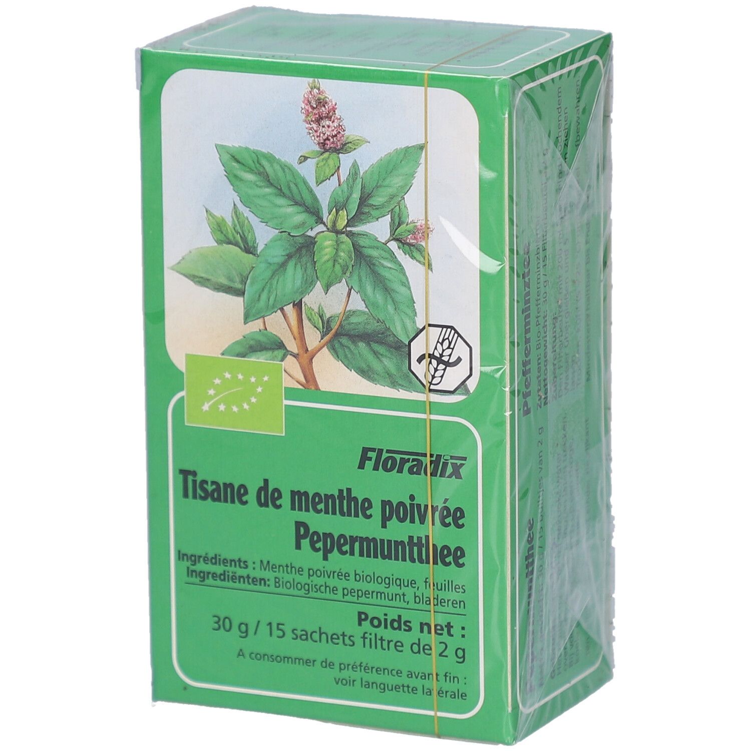 Boîte verte de tisane à la menthe poivrée. Ingrédients et poids nets indiqués. Label bio. Emballage plastique.