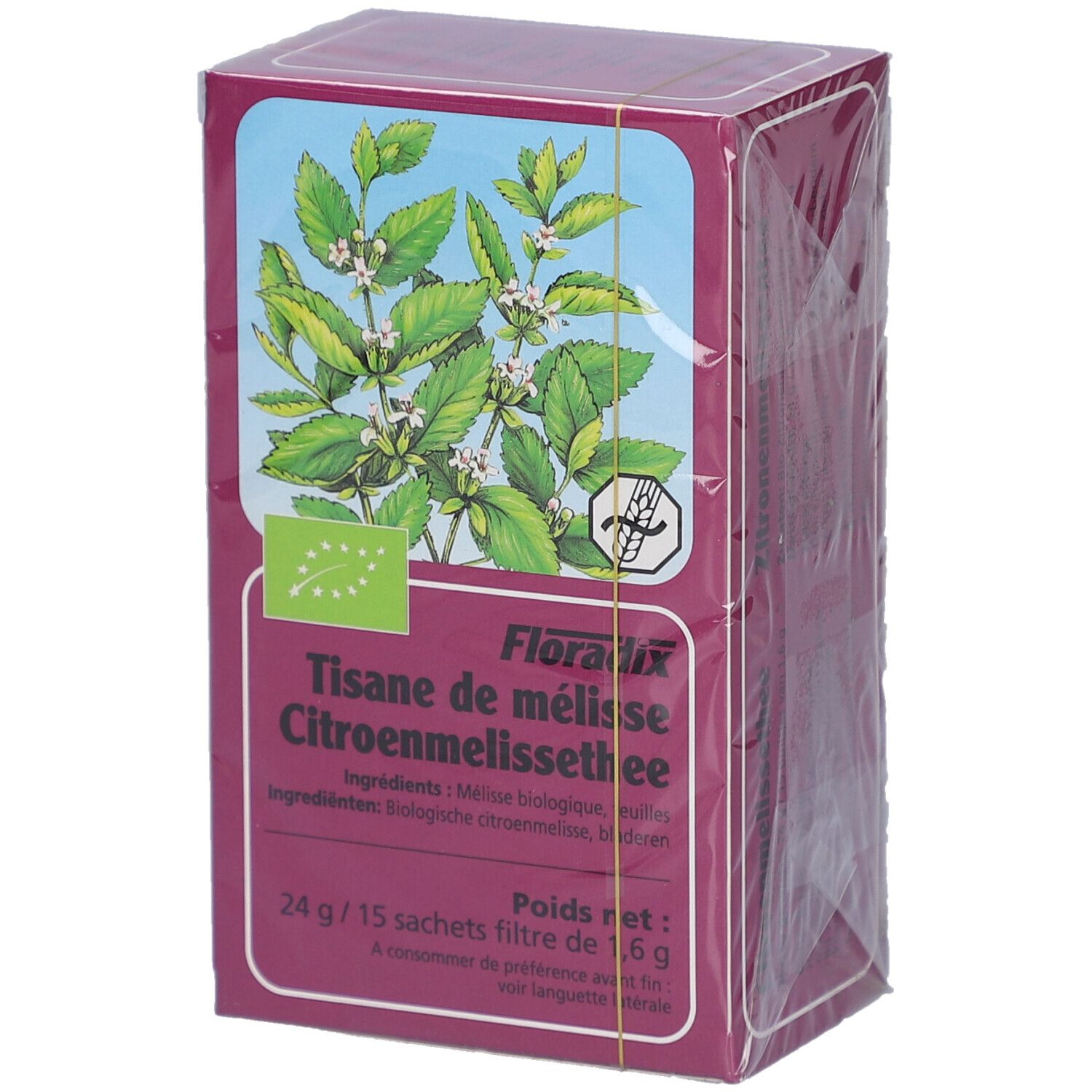 Boîte de tisane de mélisse. Inscription: Tisane de mélisse Citronnelmelissethee, 15 sachets. Label bio. Illustration de mélisse.
