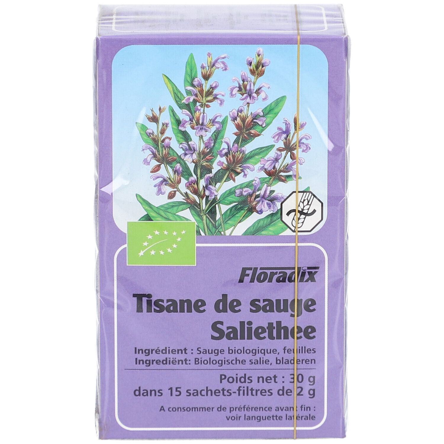 Boîte de SALUS TIS SAUGE SACH 15, emballée. Image de plante et texte sur fond violet. Label bio. Emballage plastique.