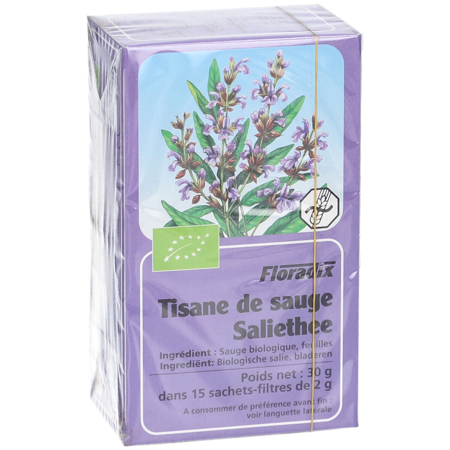 Boîte de SALUS TIS SAUGE SACH 15, emballée. Image de plante et texte sur fond violet. Label bio. Emballage plastique.