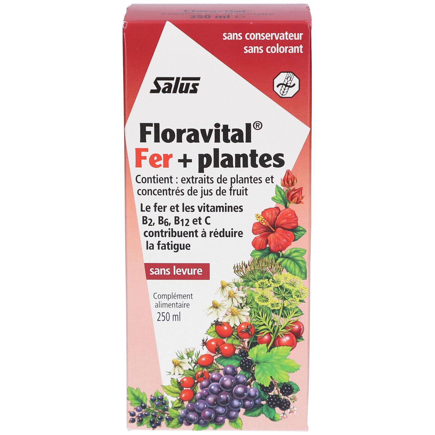 Boîte en carton rouge et blanc. Inscription: Salus, Floravital Fer + plantes. Contient extraits et concentrés de jus de fruits. Sans levure.