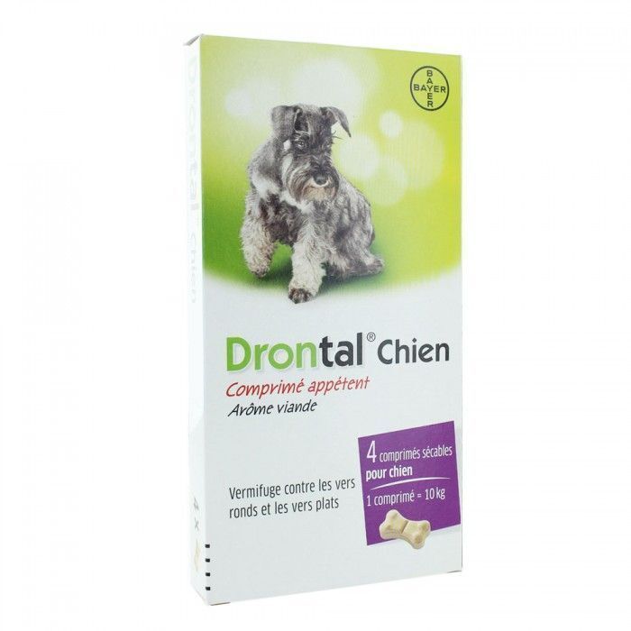 Drontal Chien