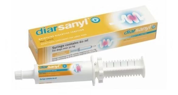 Diarsanyl+ Pâte orale grand chien Seringue