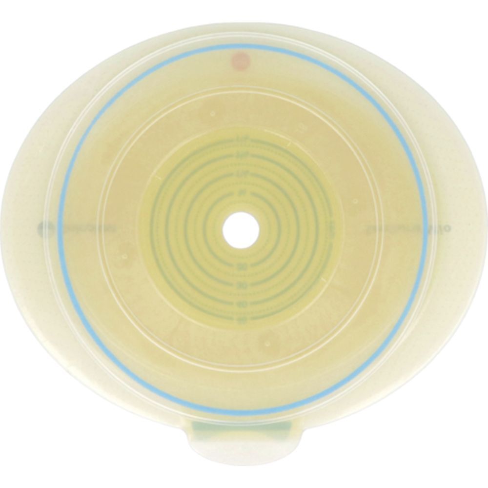 Base circulaire crème avec anneau bleu et trou central. Échelle imprimée.