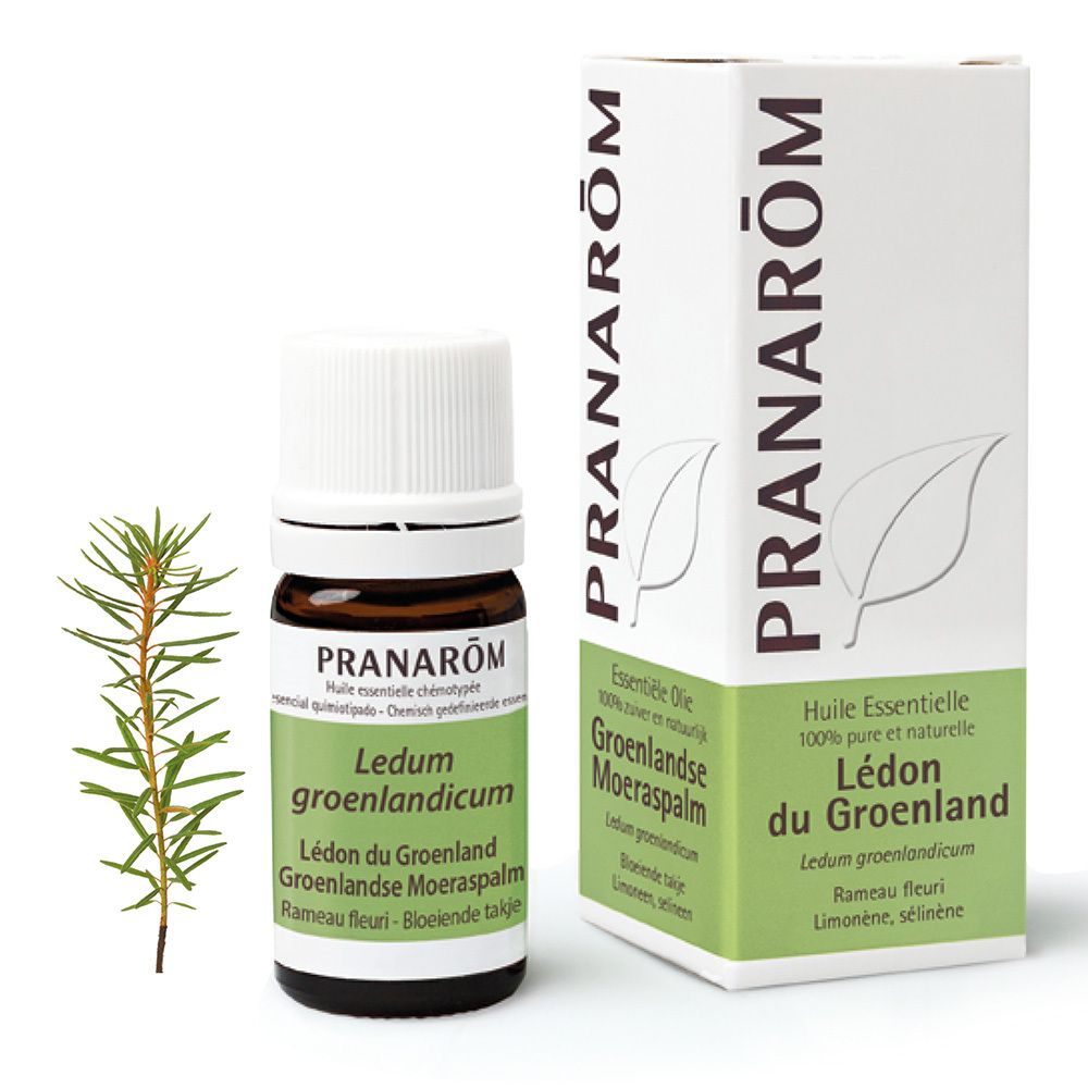 Pranarôm Huile Essentielle Lédon du Groenland