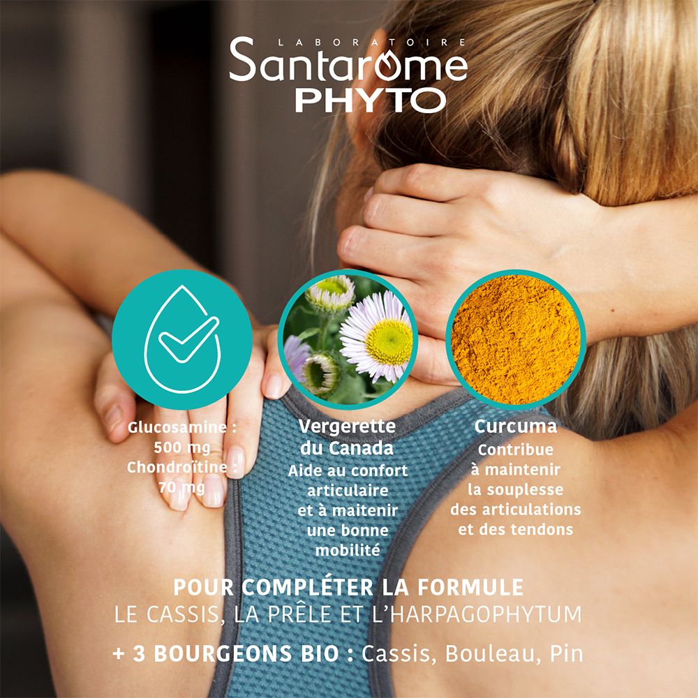 Graphique avec ingrédients. Texte : Glucosamine, Chondroïtine, Vergerette du Canada, Curcuma. Pour compléter la formule : Cassis, Prêle, Harpagophytum.