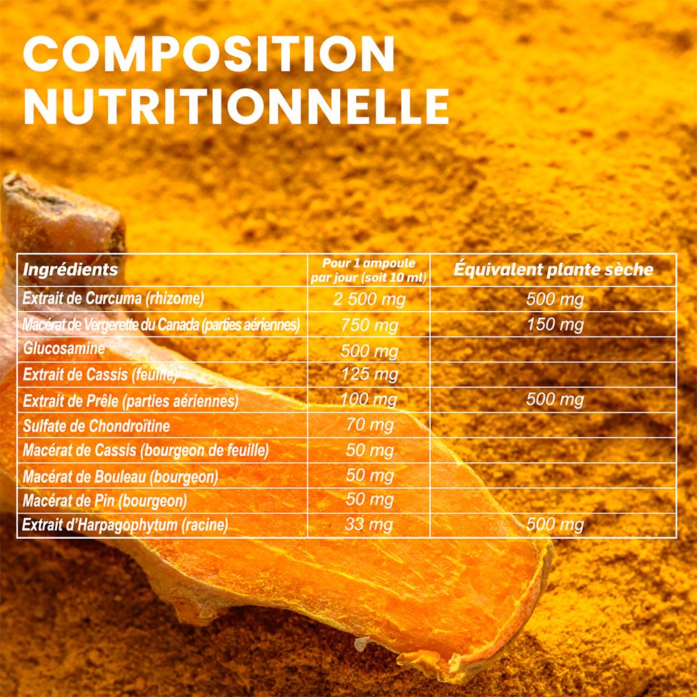 Composition nutritionnelle. Texte : Ingrédients, pour 1 ampoule, équivalent plante sèche. Contient Curcuma, Vergerette du Canada, Glucosamine.