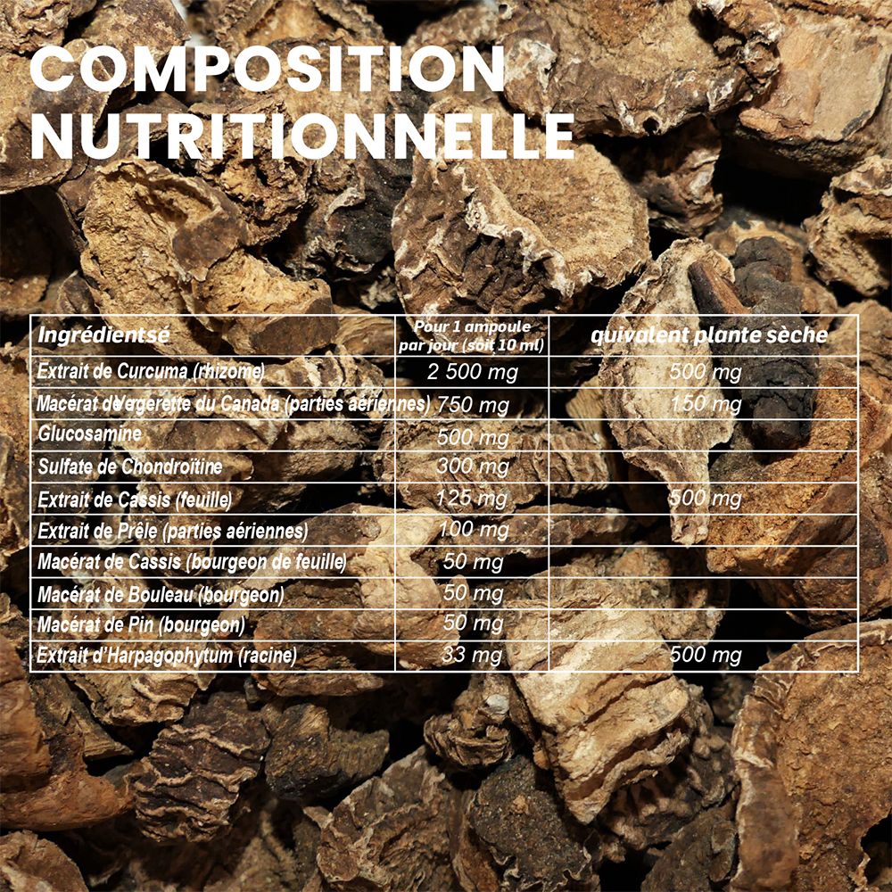 Composition nutritionnelle. Texte : Ingrédients, pour 1 ampoule, équivalent plante sèche. Contient Curcuma, Vergerette du Canada, Glucosamine.
