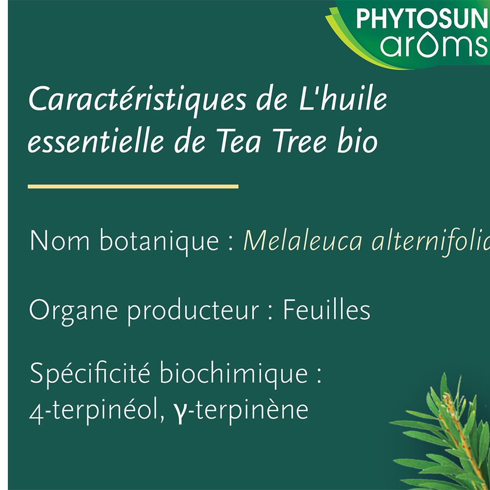 PHYTOSUN AROMS - Huile Essentielle Tea-Tree Bio (Arbre à Thé) - HEBBD - 100 % Pure & Naturelle - 100 % Bio