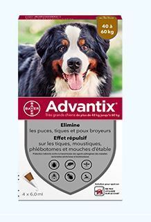 Boîte Advantix avec photo de chien. Contient 4 pipettes. Élimine puces, tiques et moustiques. Pour chiens de 40 à 60 kg.