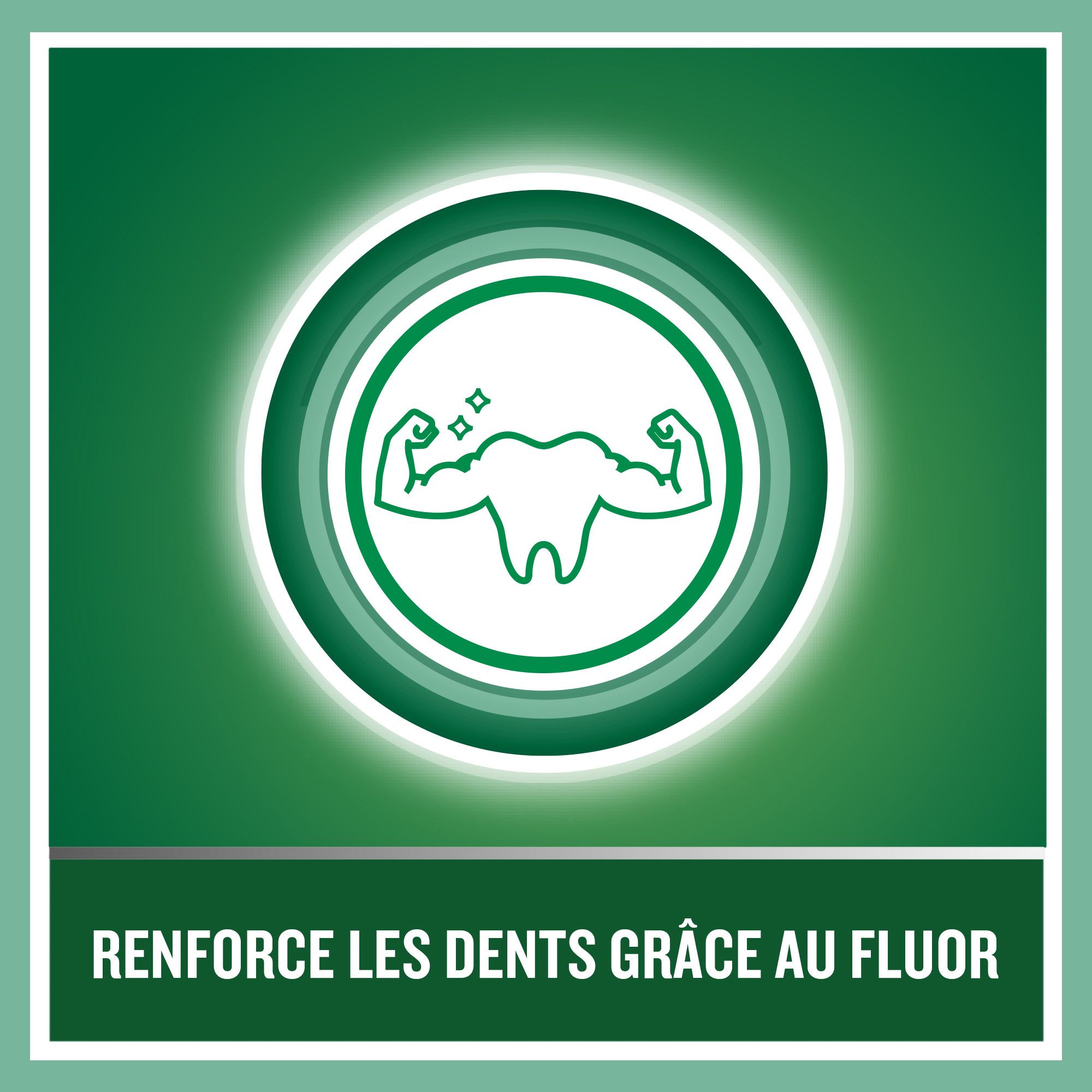 LISTERINE® Bain de Bouche Protection des Dents et des Gencives Menthe fraîche