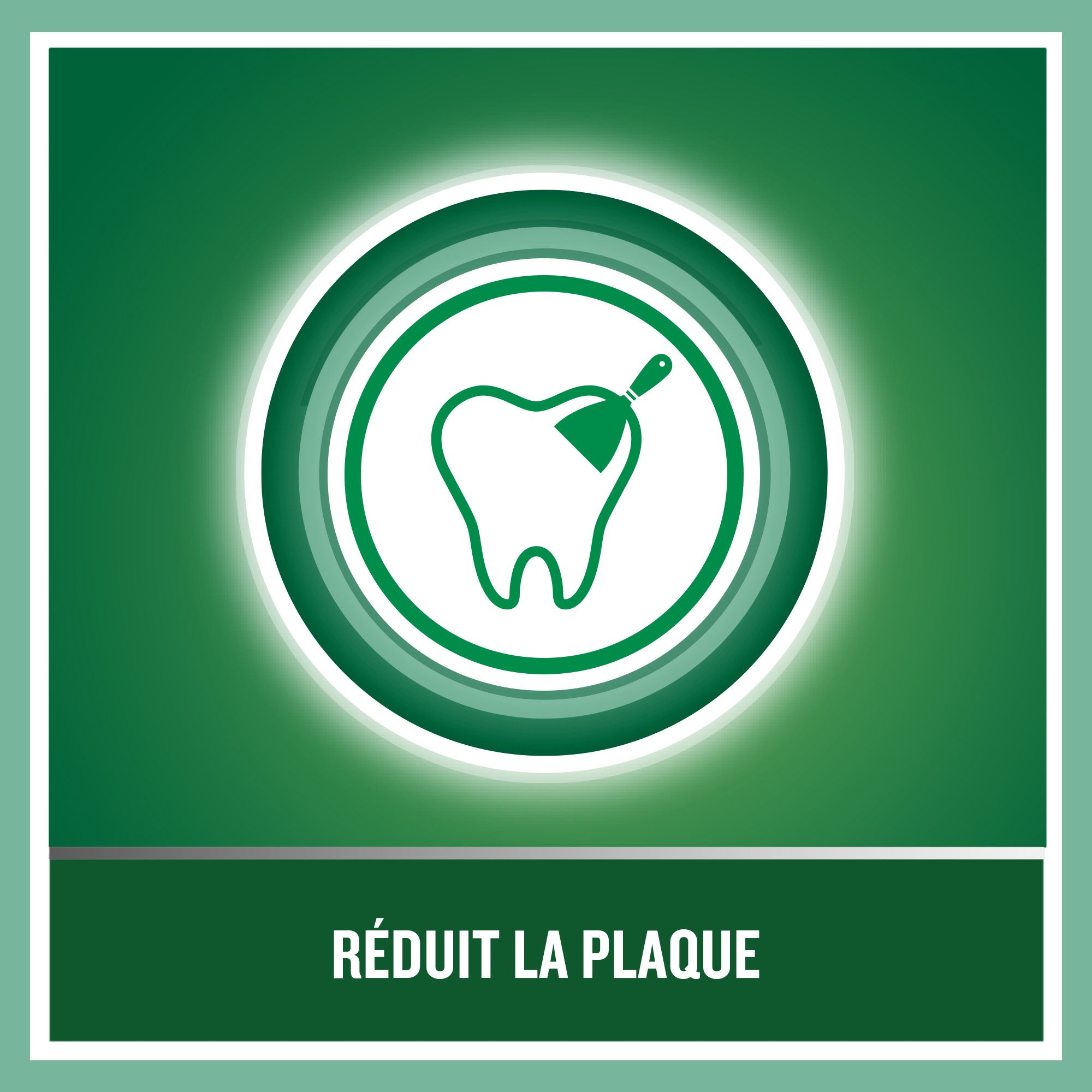 LISTERINE® Bain de Bouche Protection des Dents et des Gencives Menthe fraîche