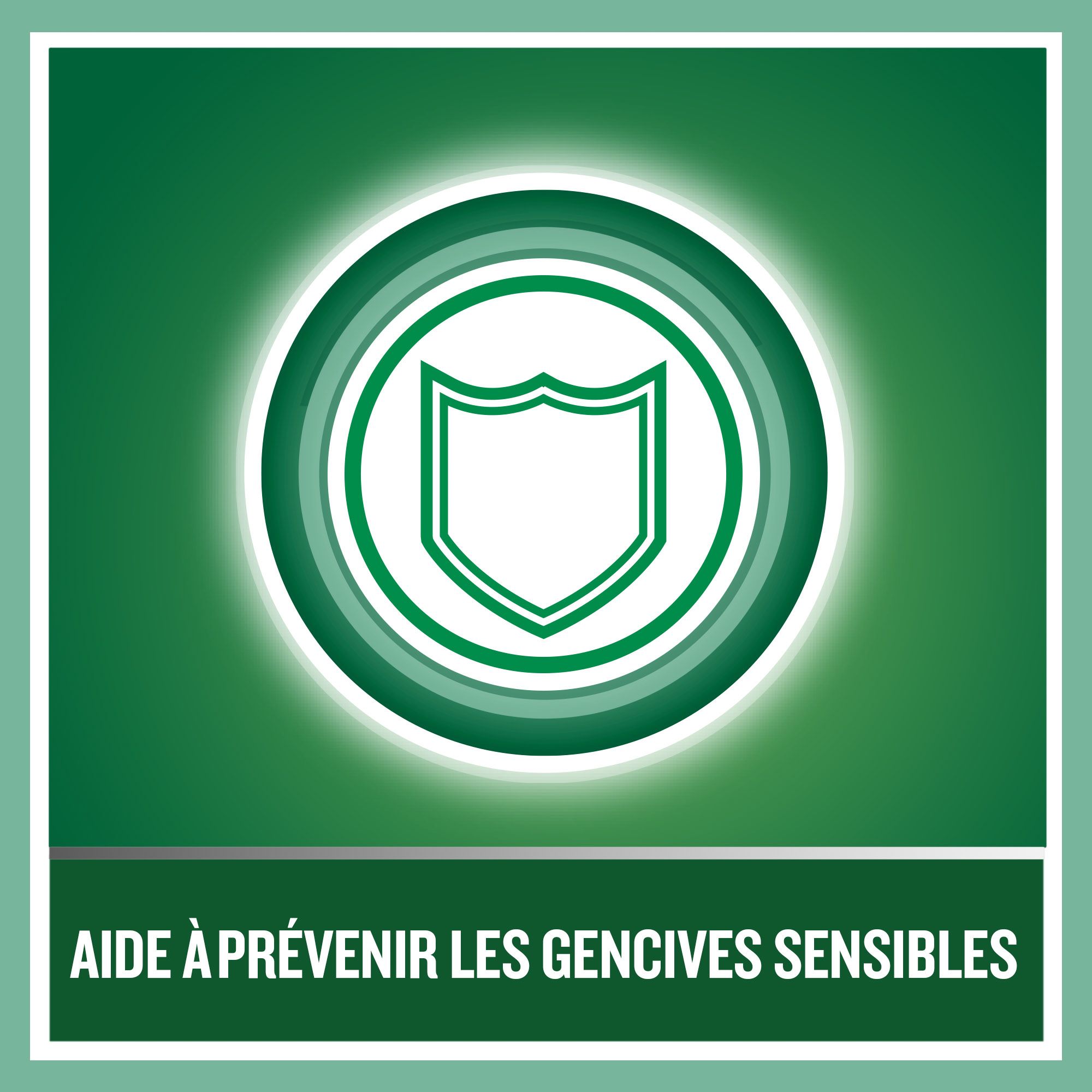 LISTERINE® Bain de Bouche Protection des Dents et des Gencives Menthe fraîche
