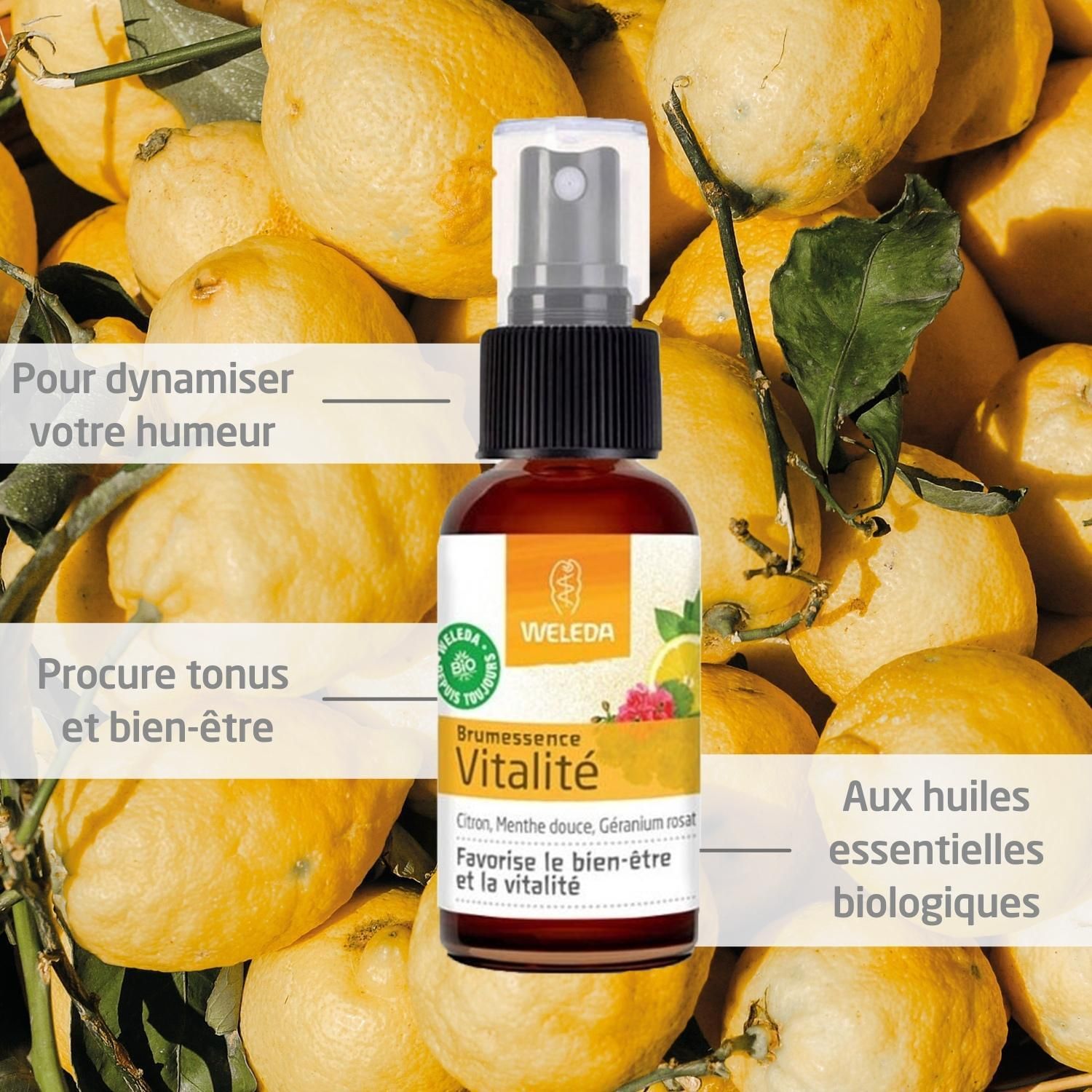 WELEDA Brumessence® Vitalité. Flacon devant citrons. Citron, menthe, géranium. Bio. Texte: Pour dynamiser votre humeur.