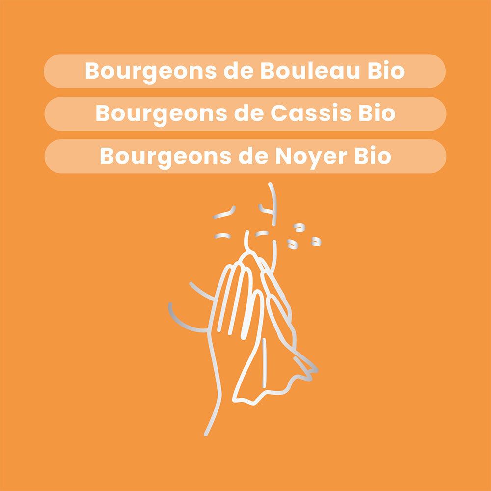 Illustration d'une personne qui se mouche. Texte : Bourgeons de Bouleau Bio, Cassis Bio, Noyer Bio.
