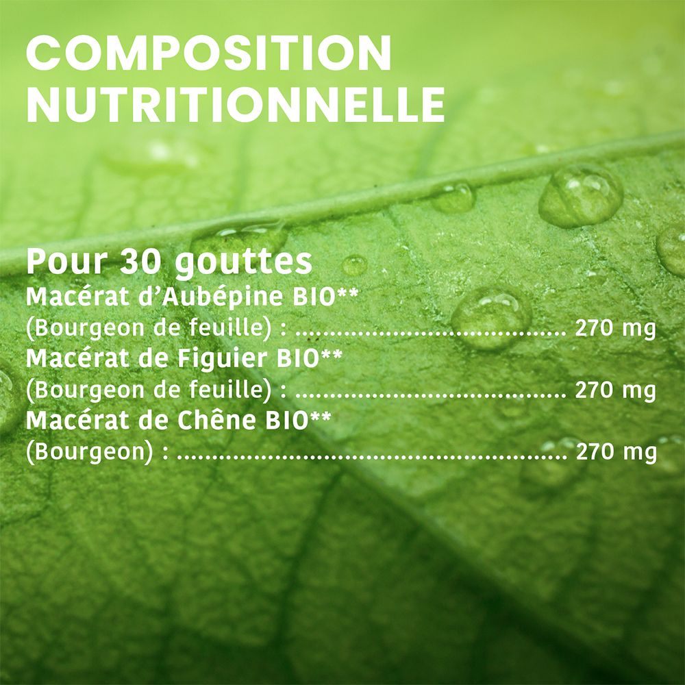 Santarome Bio Complexe Stress 3 Bourgeons Bio et Frais C12