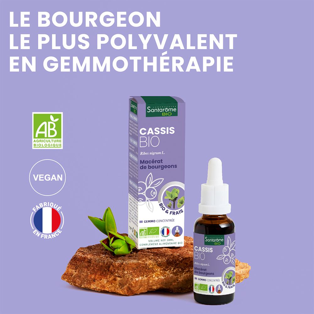 Santarome Bio Complexe Cassis 1 Bourgeon Bio et Frais U51