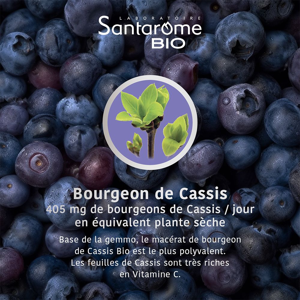 Santarome Bio Complexe Cassis 1 Bourgeon Bio et Frais U51