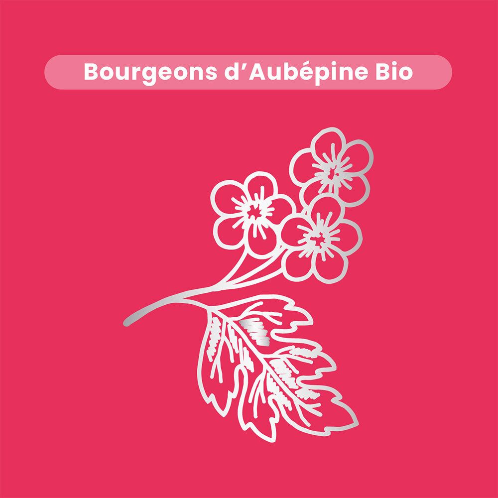 Gros plan sur feuilles et baies rouges. Texte : Bourgeon d'Aubépine. 405 mg par jour. Marque Santarome Bio.