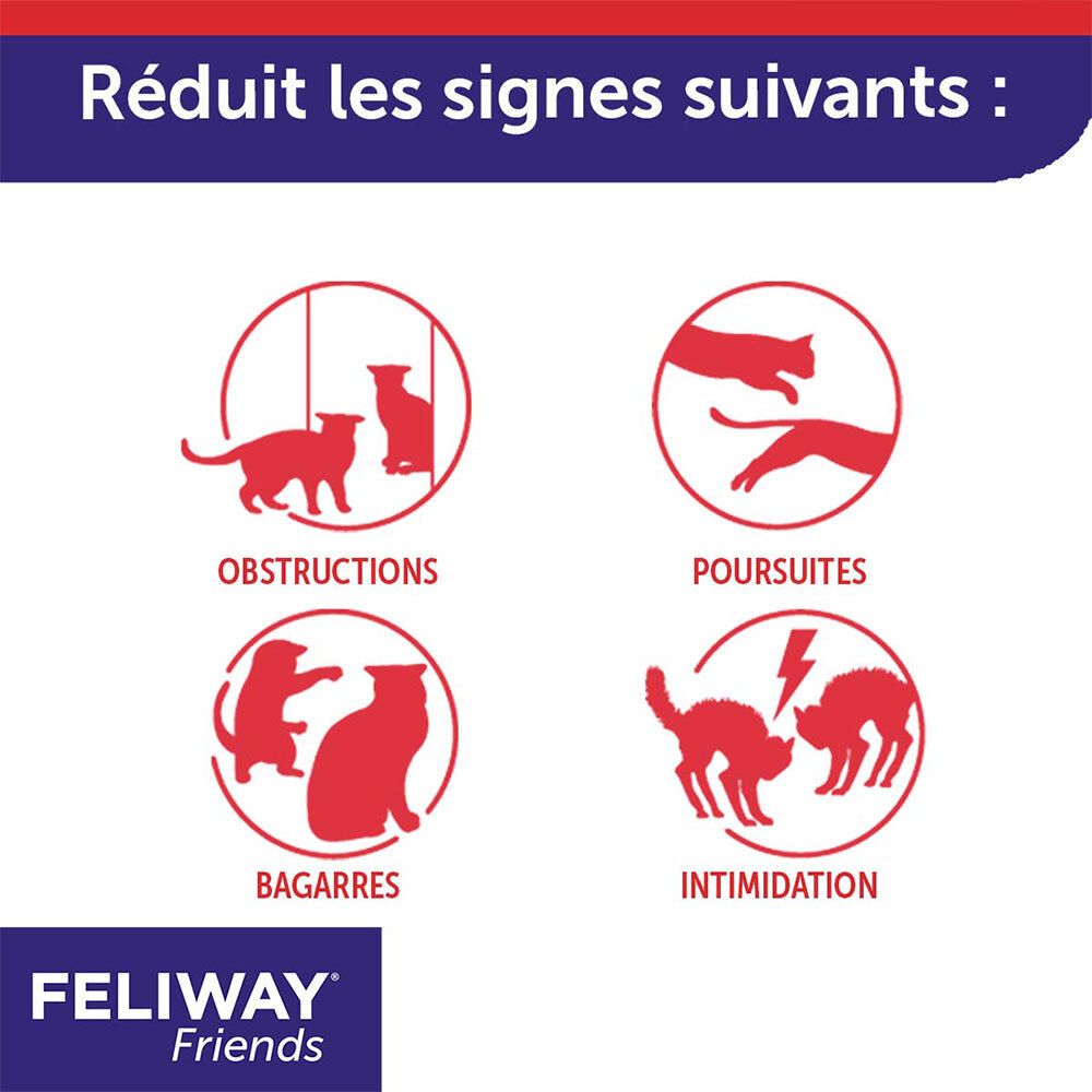 Symboles illustrant les tensions entre chats : intimidation, bagarres, poursuites, obstructions.