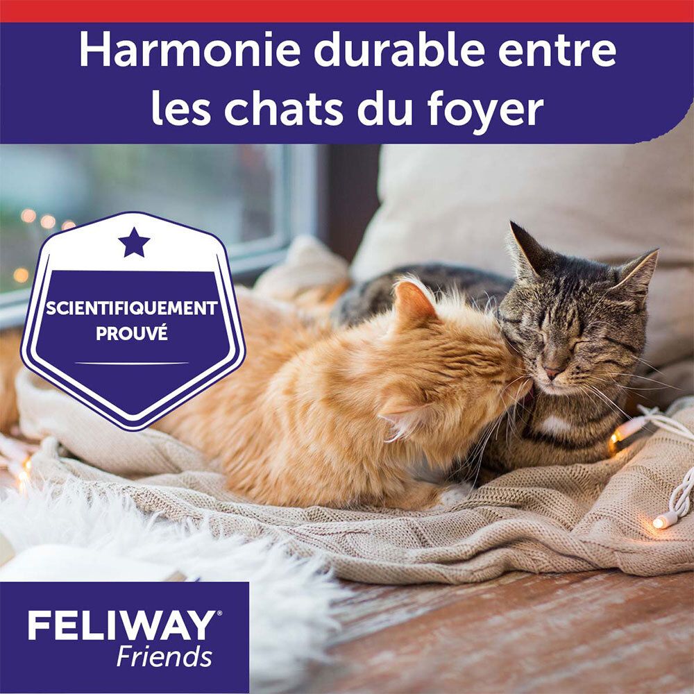 Deux chats se blottissent paisiblement, avec sceau 'Scientifiquement prouvé' pour FELIWAY Friends.