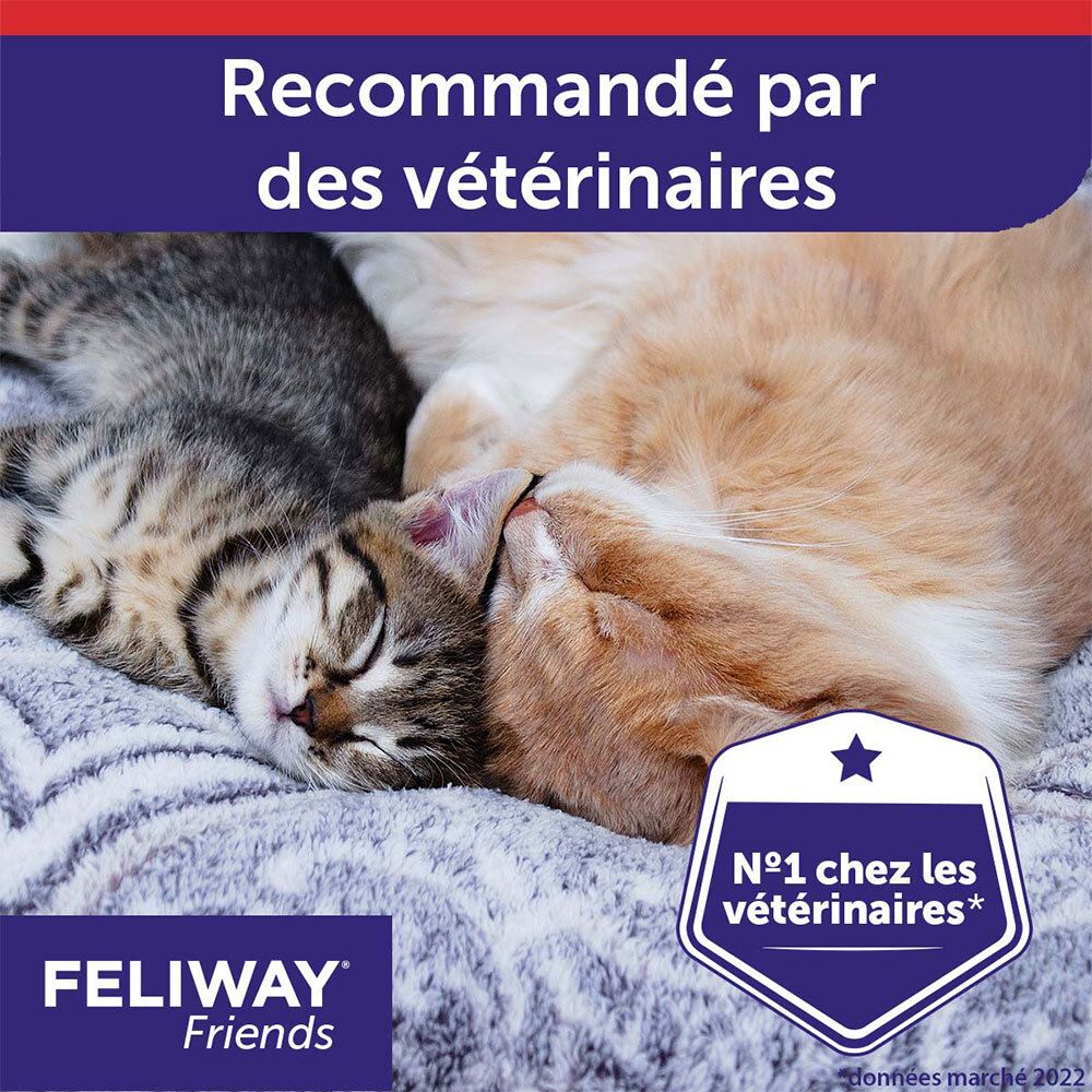 Deux chats dorment paisiblement, avec sceau 'Recommandé par des vétérinaires' pour FELIWAY Friends.