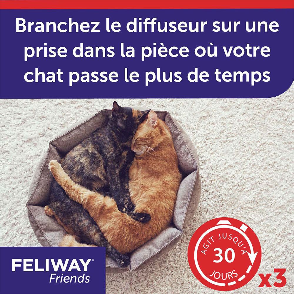 Deux chats dorment blottis l'un contre l'autre dans un panier, indication 30 jours d'action.