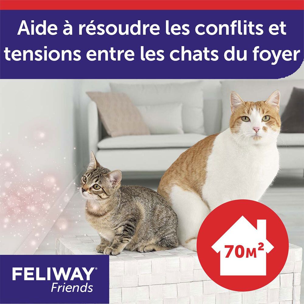Deux chats assis côte à côte, avec symbole de couverture de 70m² par FELIWAY Friends.