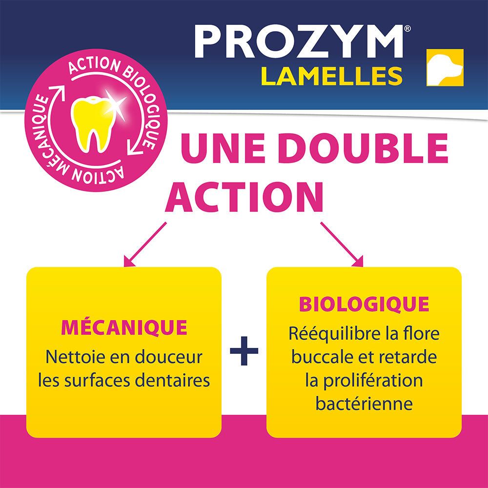 Texte : Une double action. Mécanique : Nettoie en douceur les surfaces dentaires. Biologique : Équilibre la flore buccale.