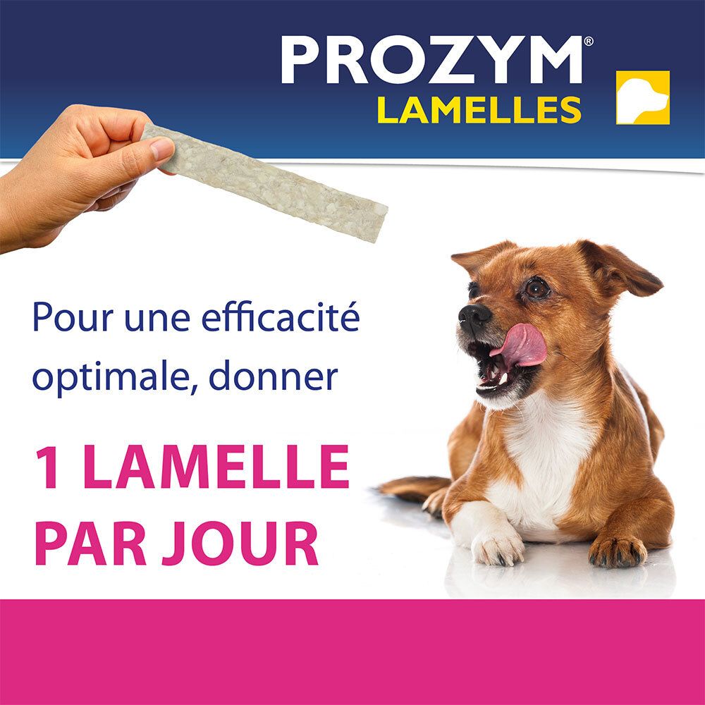 Chien avec lamelle dans la gueule. Texte : 1 lamelle par jour. Logo du produit.