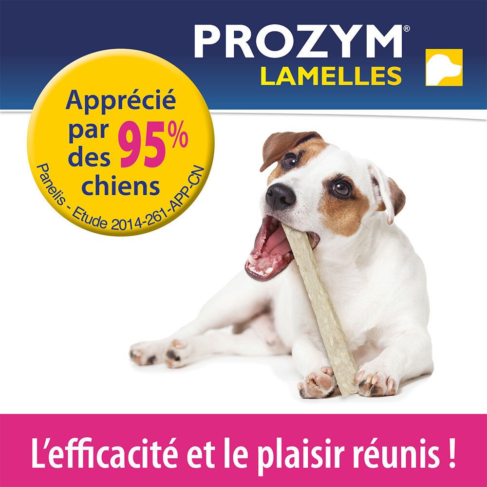 Chien avec lamelle dans la gueule. Texte : Approuvé par 95% des chiens. Logo du produit.