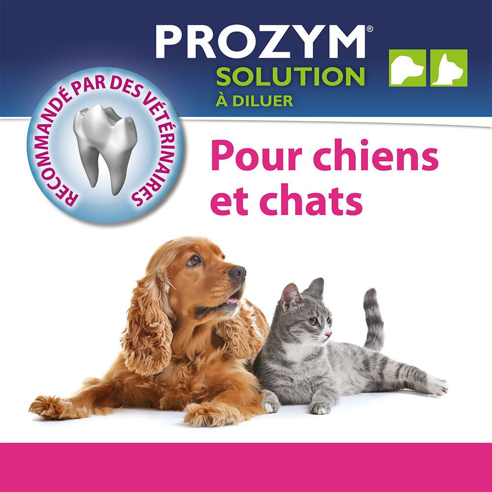 Chien et chat. Texte : Pour chiens et chats. Logo : dent. Nom du produit : PROZYM SOLUTION À DILUER.