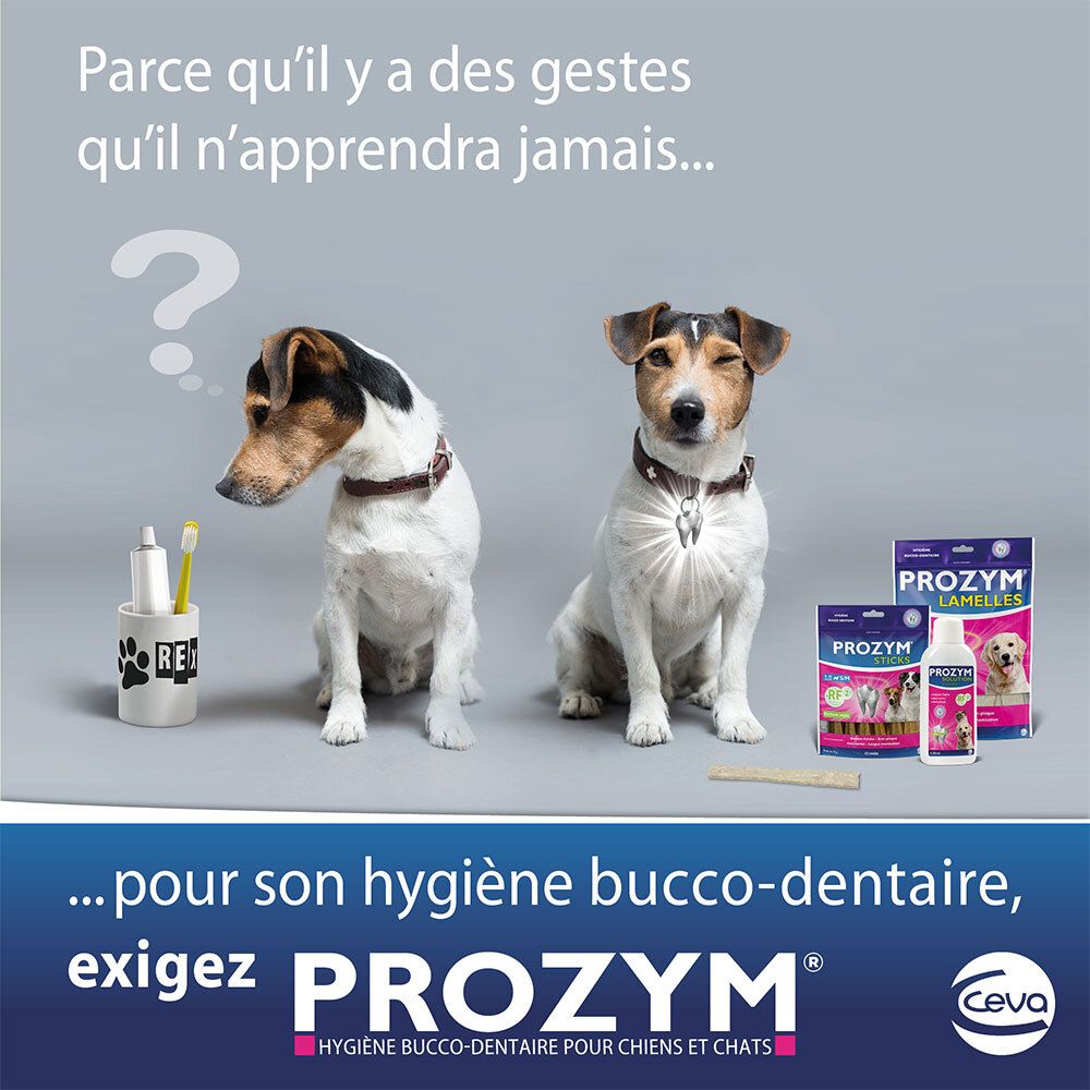 Deux chiens. Produits : PROZYM. Texte : Pour l'hygiène bucco-dentaire. Produits au sol. Point d'interrogation.